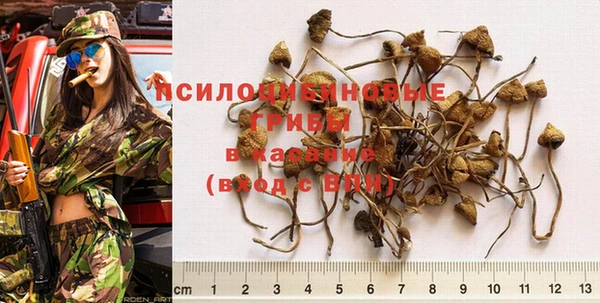 гашиш Арсеньев
