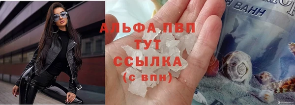 крисы Абаза