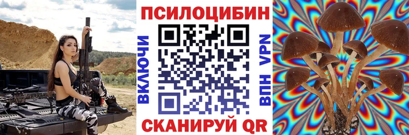 купить наркоту  Димитровград  blacksprut маркетплейс  Псилоцибиновые грибы Cubensis 