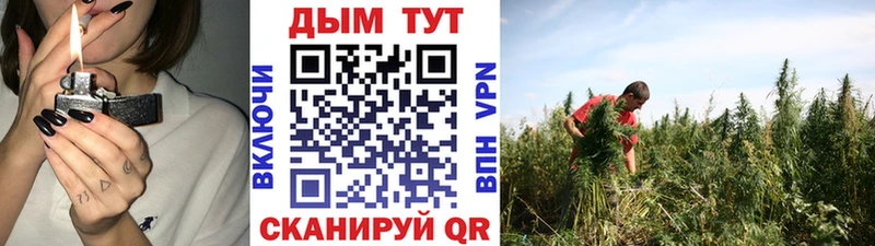 МАРИХУАНА план  Димитровград 
